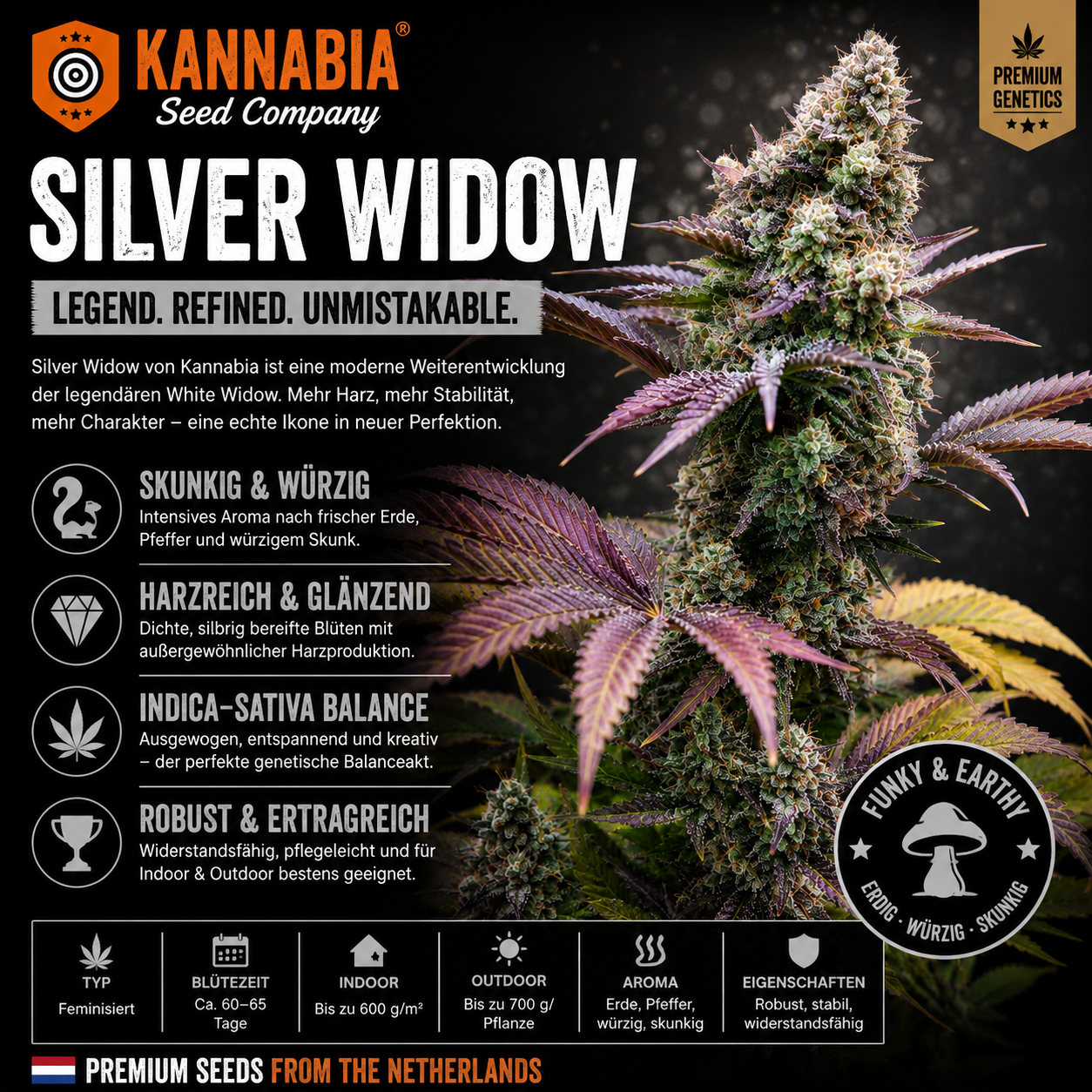 SILVER WIDOW