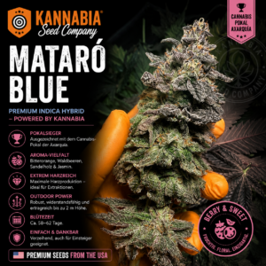 MATARO BLUE