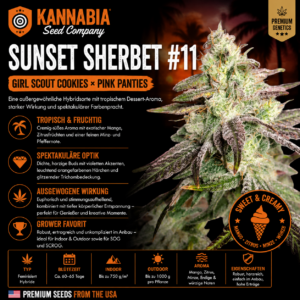 RAINBOW SHERBET #11