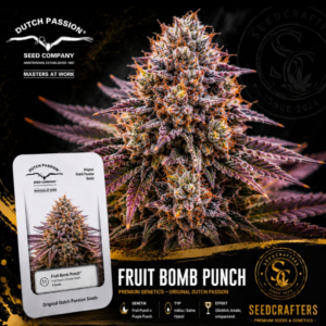 Fruit Bomb Punch