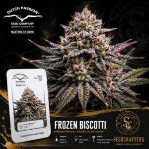 Frozen Biscotti