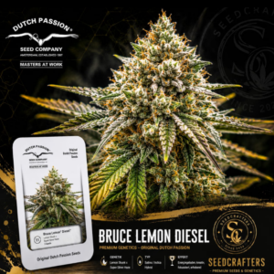 Bruce Lemon Diesel