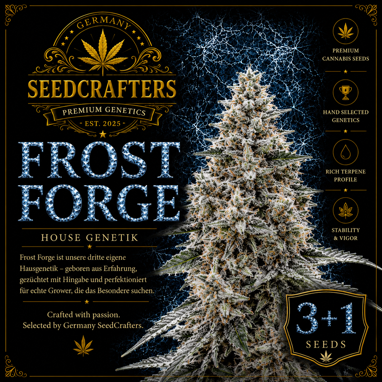 Frost Forge
