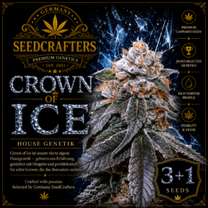 Crown of Ice