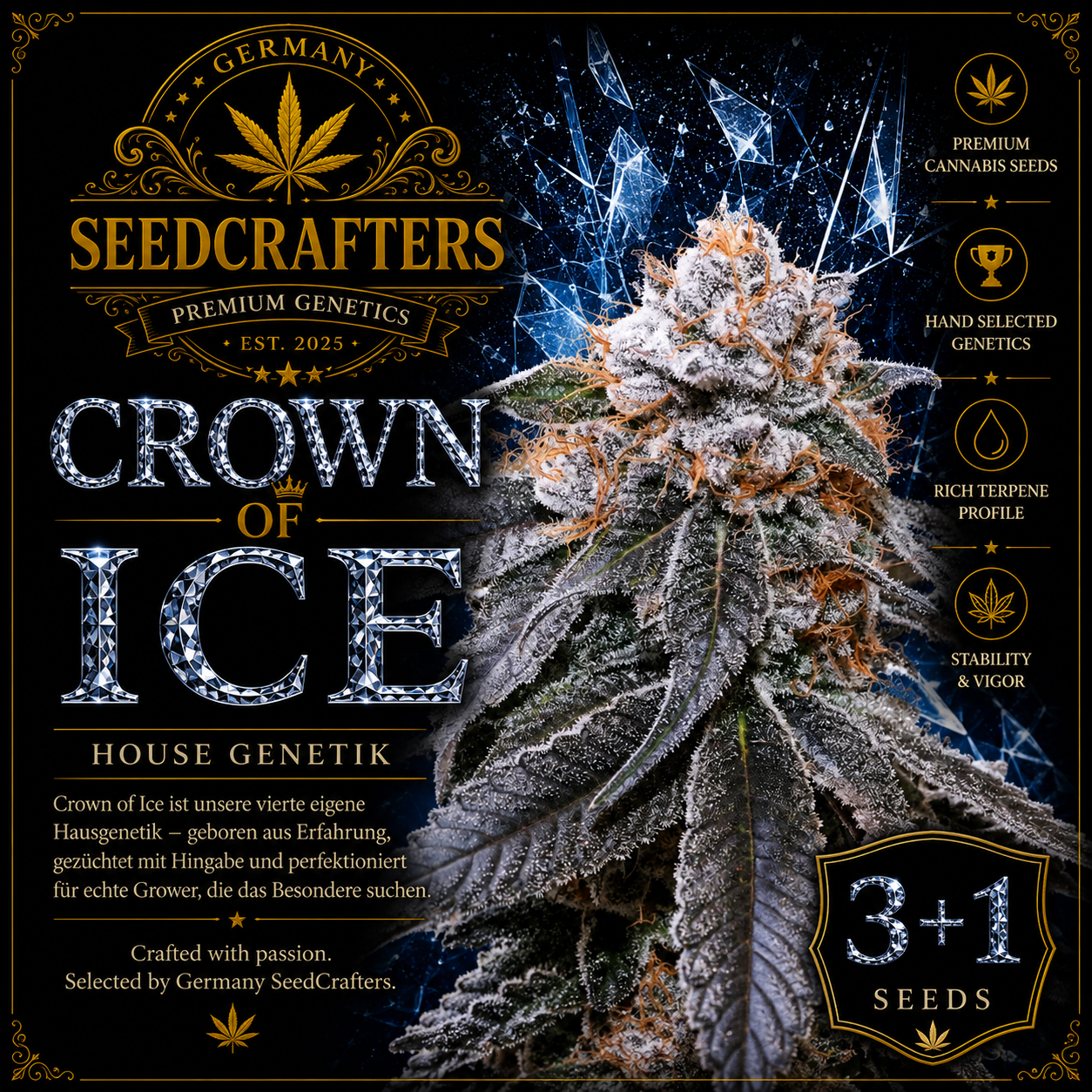 Crown of Ice