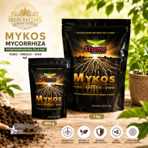 Reines Endo-Mykorrhiza-Inokulum