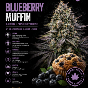 Blueberry Muffin