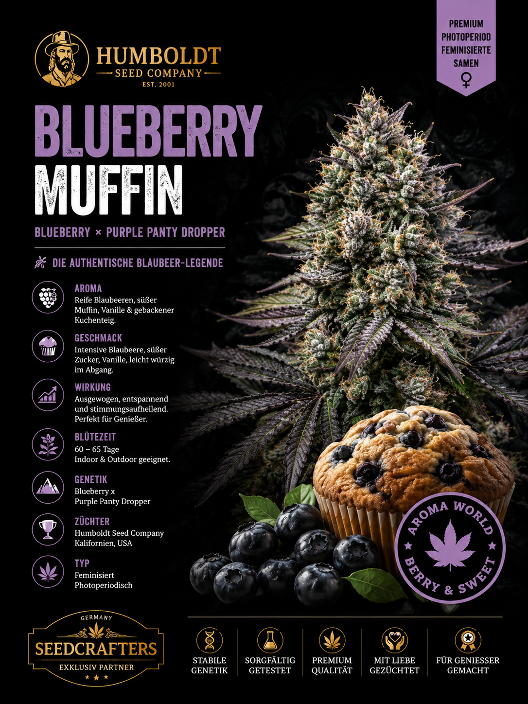 Blueberry Muffin