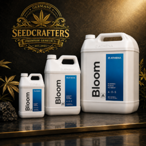 ATHENA – Bloom A