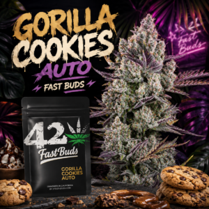 Gorilla Cookies Auto – Fast Buds