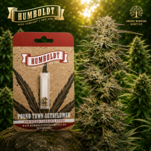 Pound Town Autoflower – Humboldt Seed Company