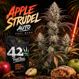 Apple Strudel Auto – Fast Buds