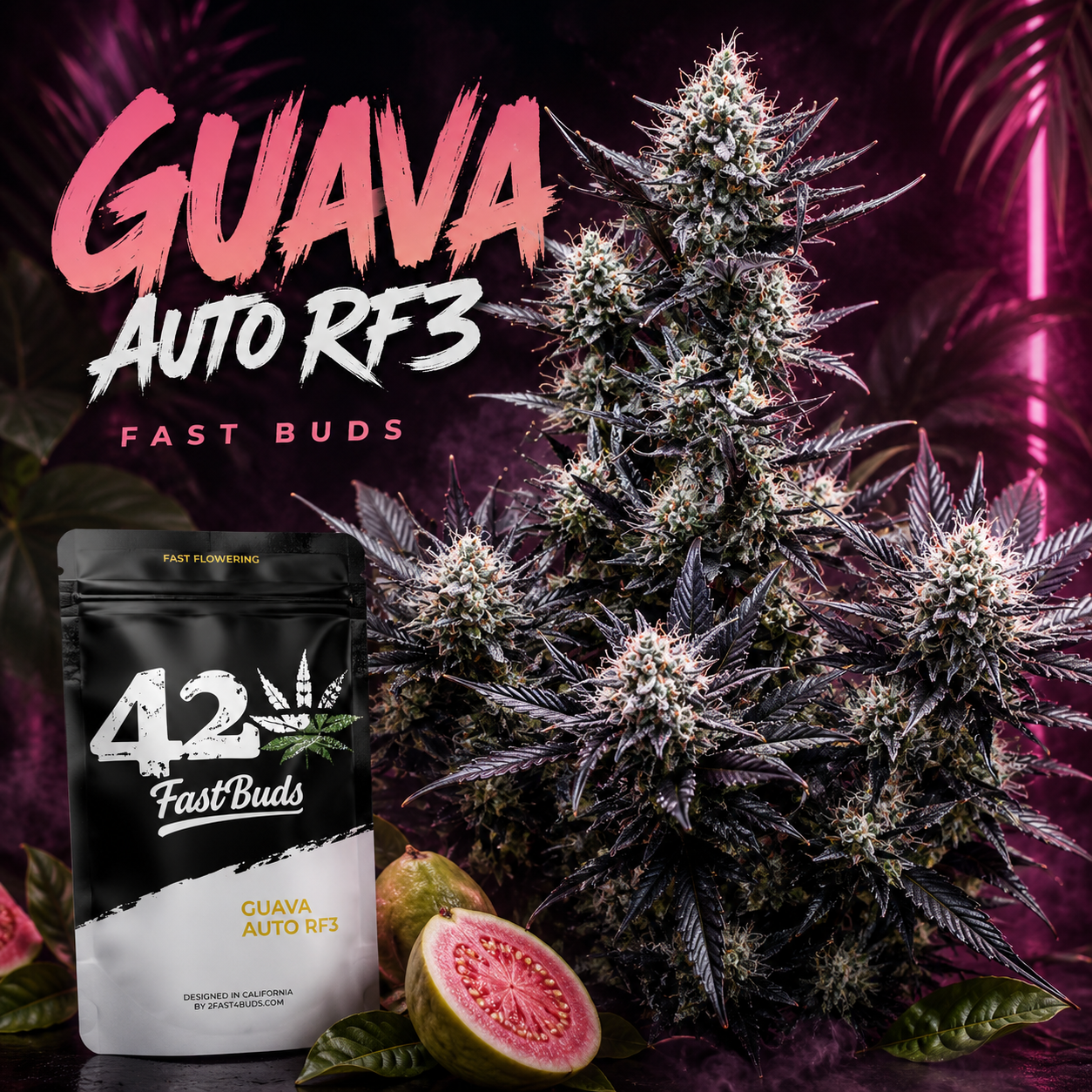 Guava Auto RF3 – Fast Buds