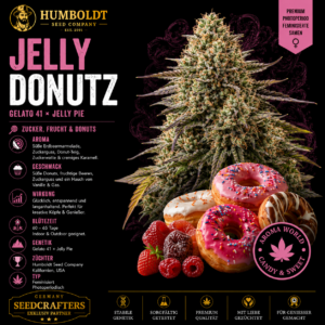 Jelly Donutz