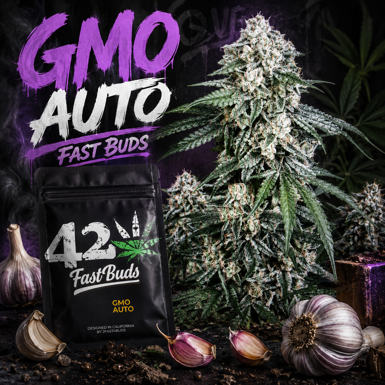 GMO Auto – Fast Buds