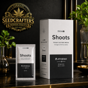 ATHENA - SHOOTS CULTURE MEDIA