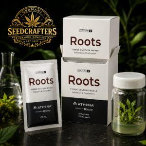ATHENA – ROOTS CULTURE MEDIA