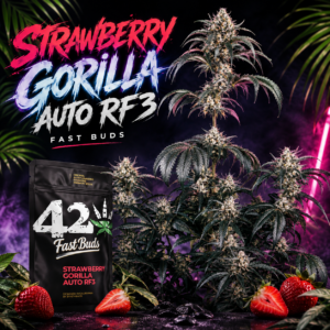 Strawberry Gorilla Auto RF3 – Fast Buds